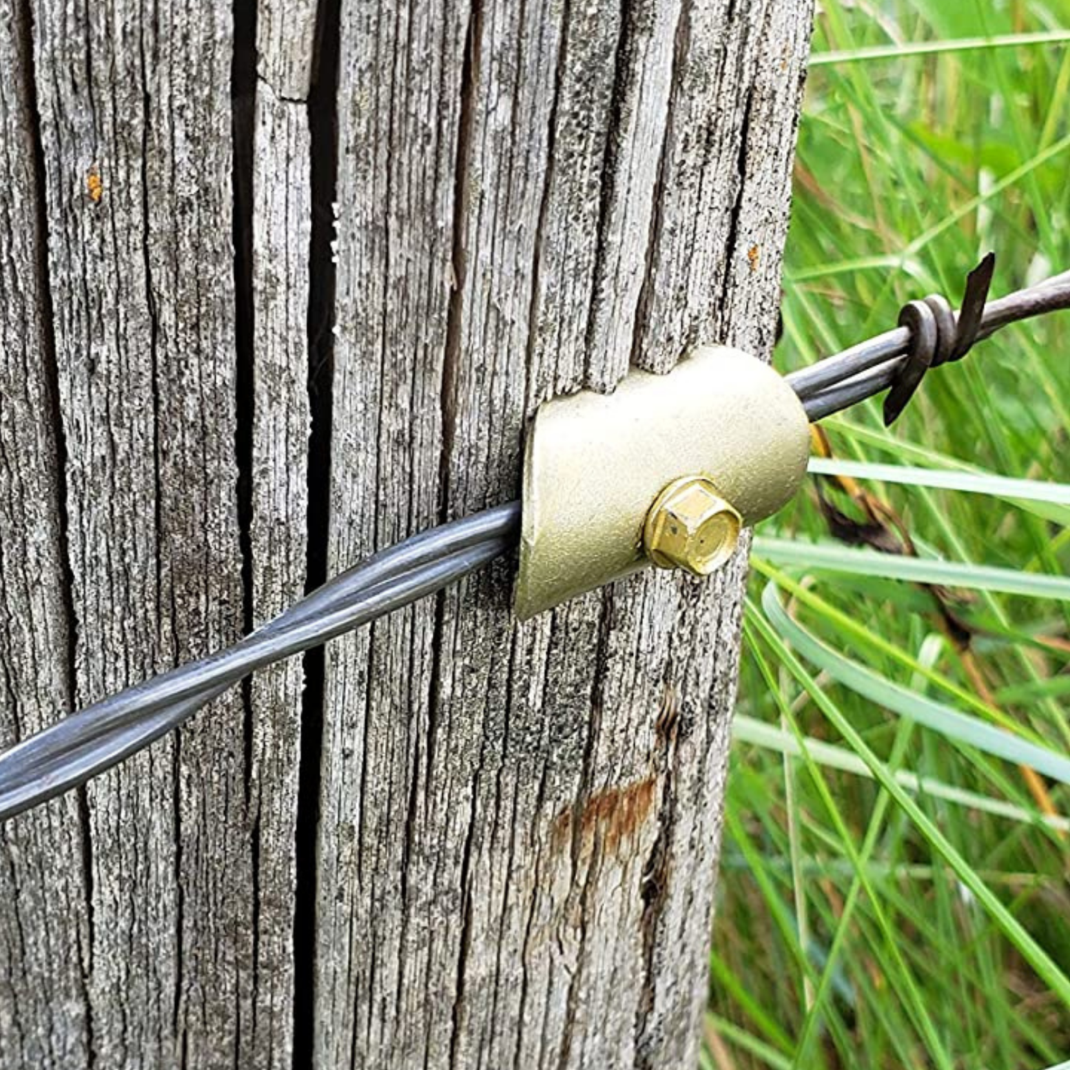 Fencing fastener holding barbed wire