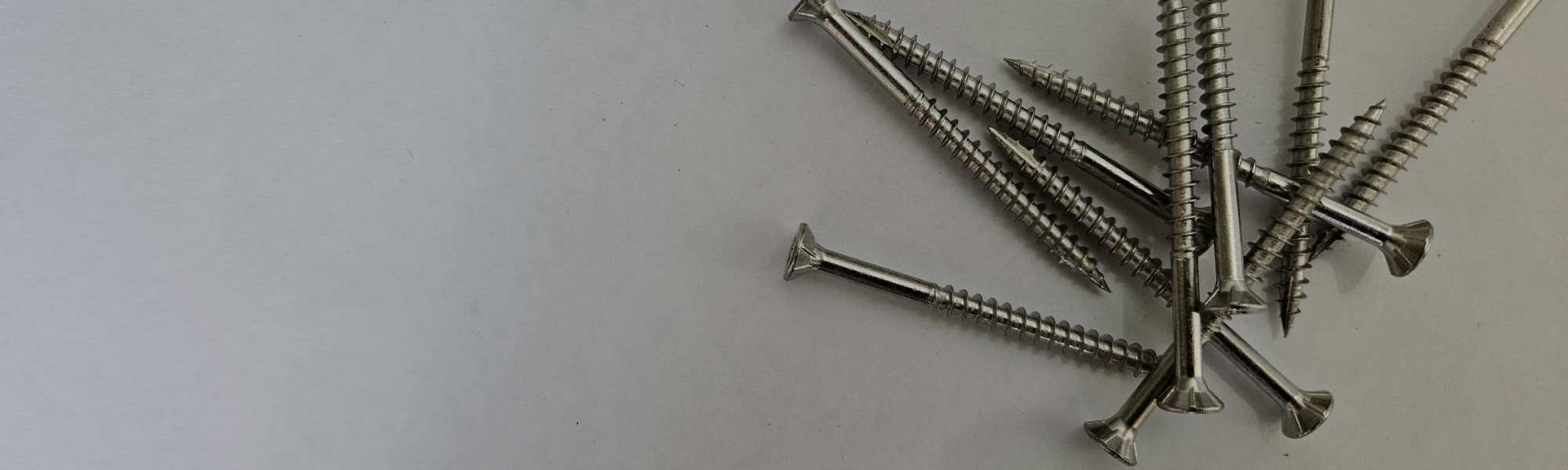 Stainless steel screws on white background