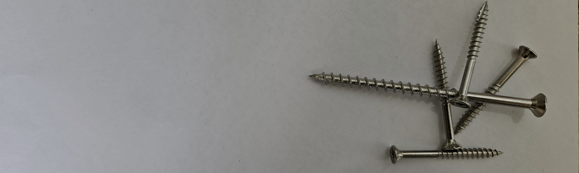 Stainless steel screws on white background