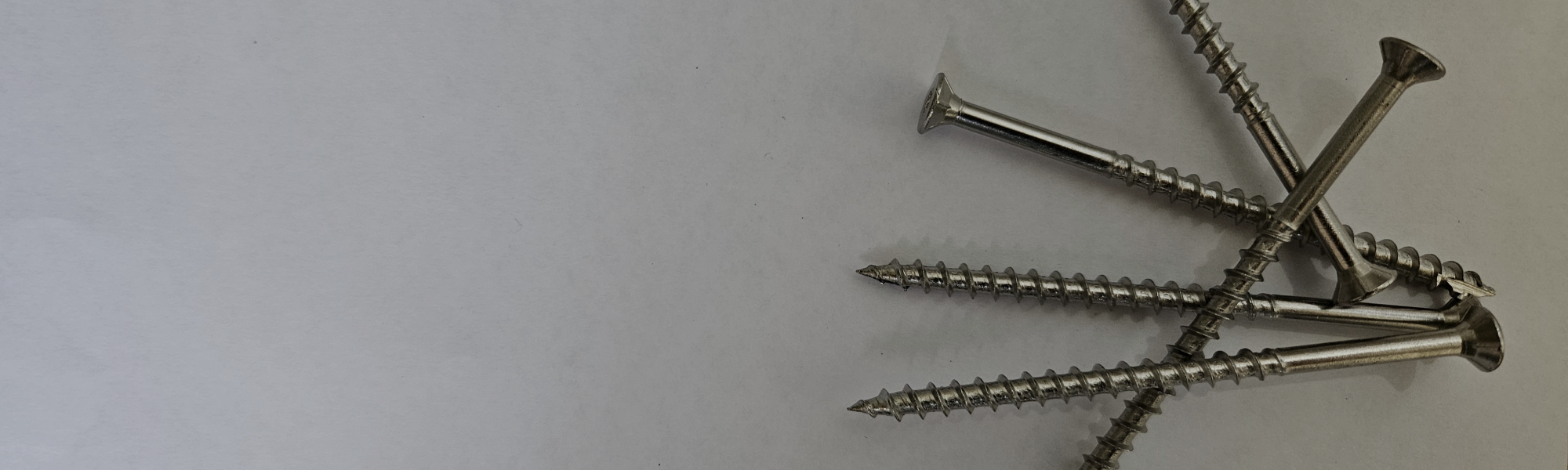 Stainless steel screws on white background