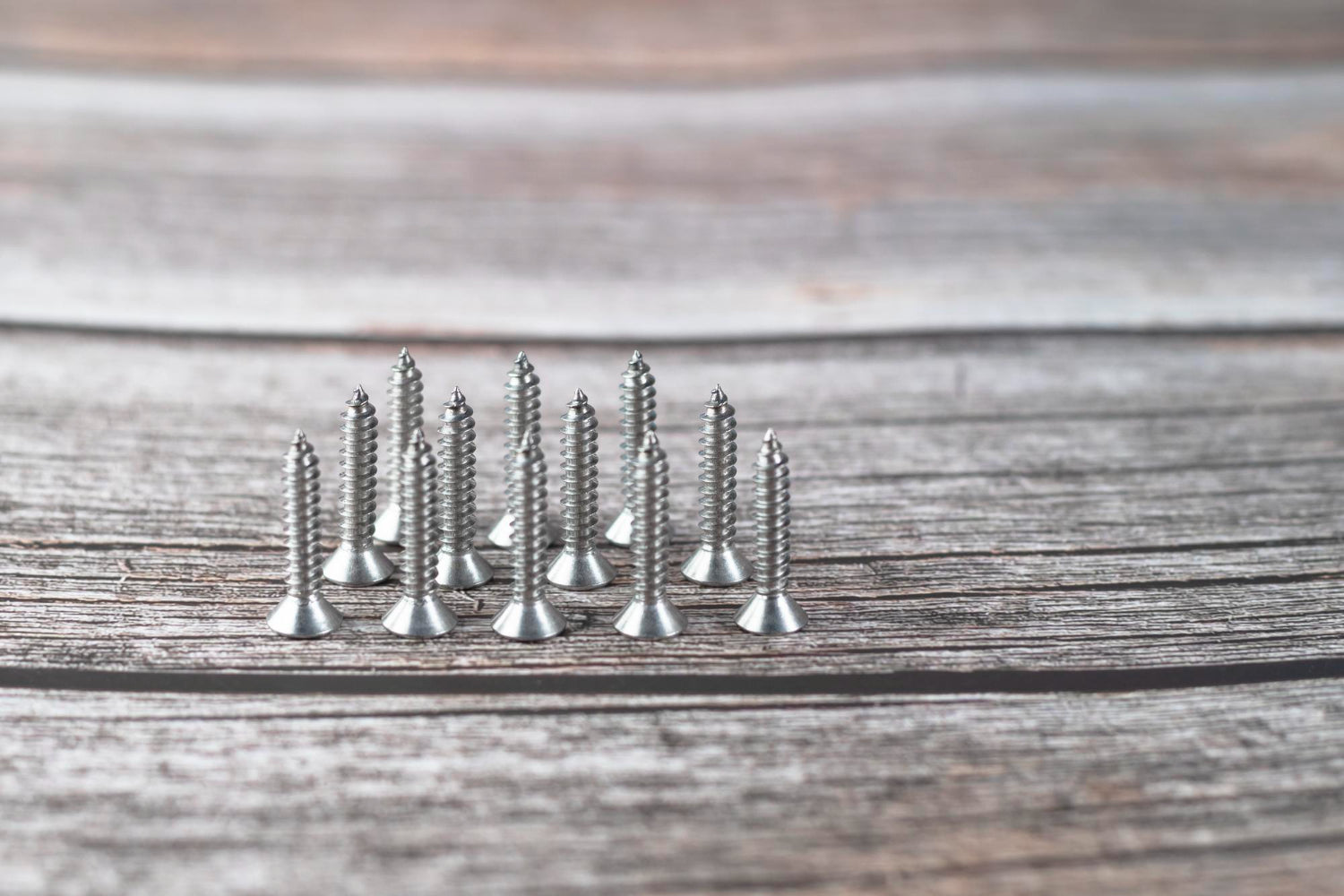 Short Stainless steel screws on wooden boards